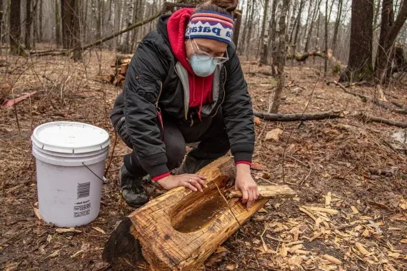 Indigenous Sustainability Studies, Minor